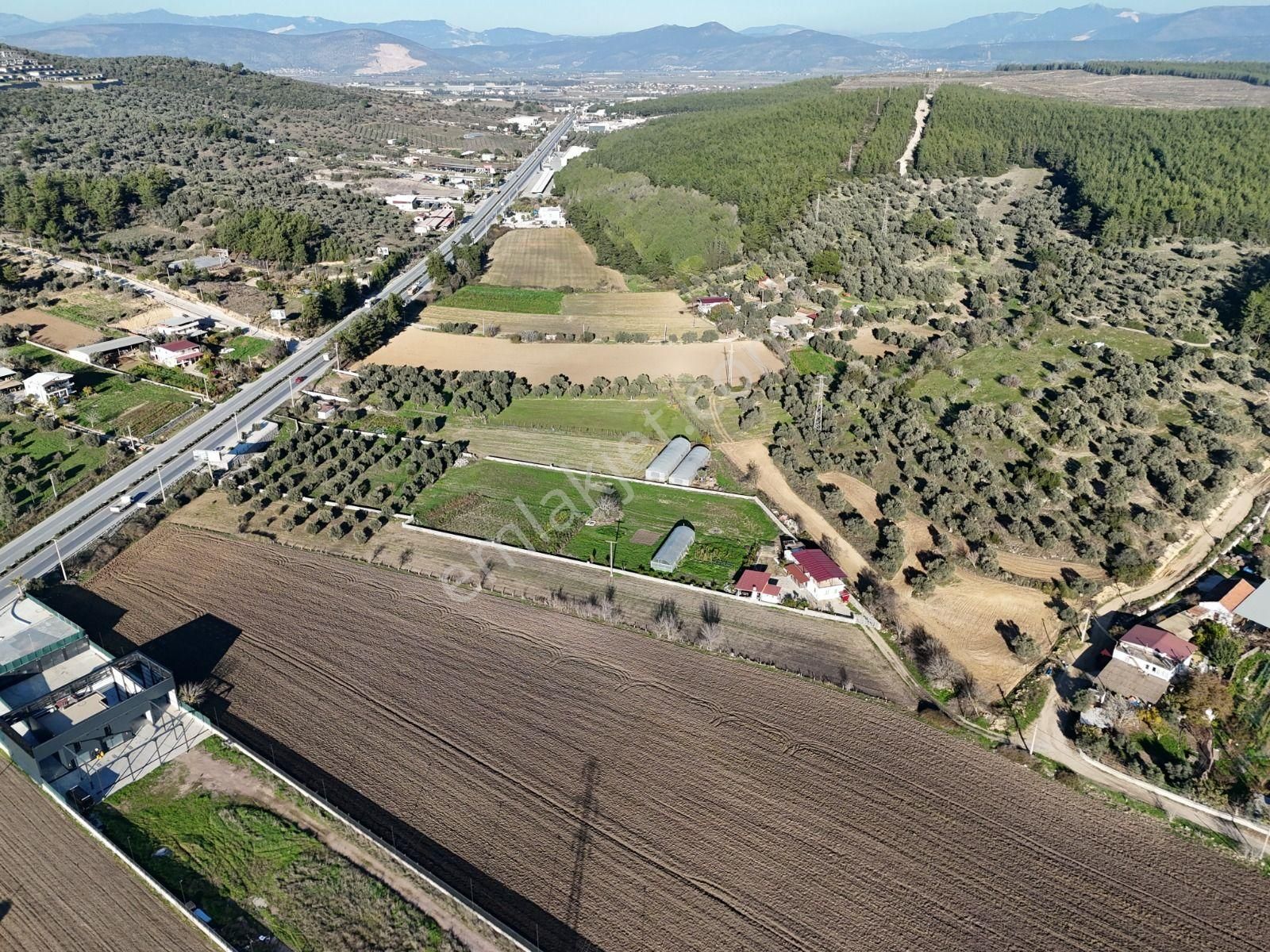 Milas - Bodrum Ana Yola Sıfır Ticari İmar Planında Satılık Arazi - Görsel 20