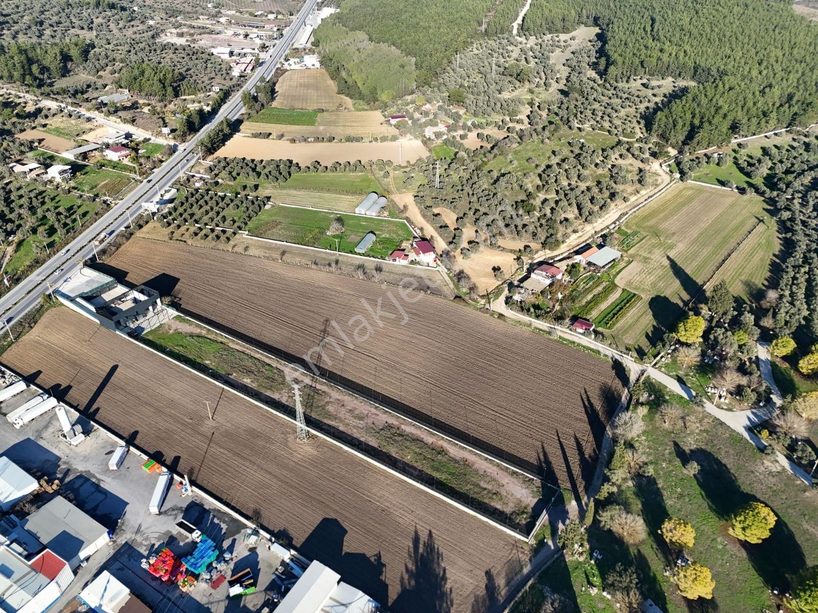 Milas - Bodrum Ana Yola Sıfır Ticari İmar Planında Satılık Arazi - Görsel 18
