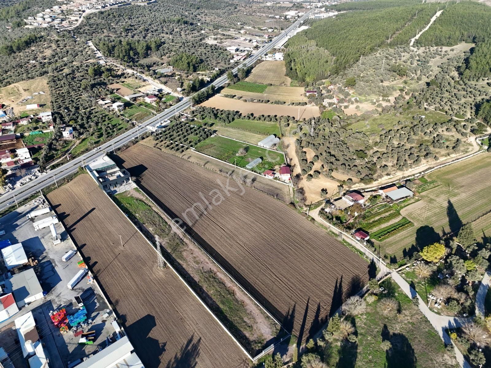 Milas - Bodrum Ana Yola Sıfır Ticari İmar Planında Satılık Arazi - Görsel 14