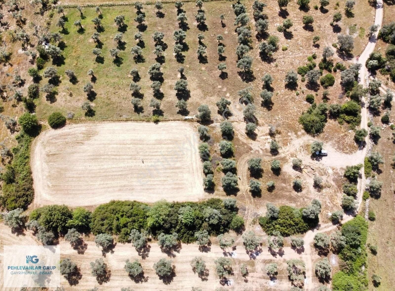 Milas Kazıklı Da Denize Yakın Asfalt Yola Sıfır Satılık Arazi - Görsel 17