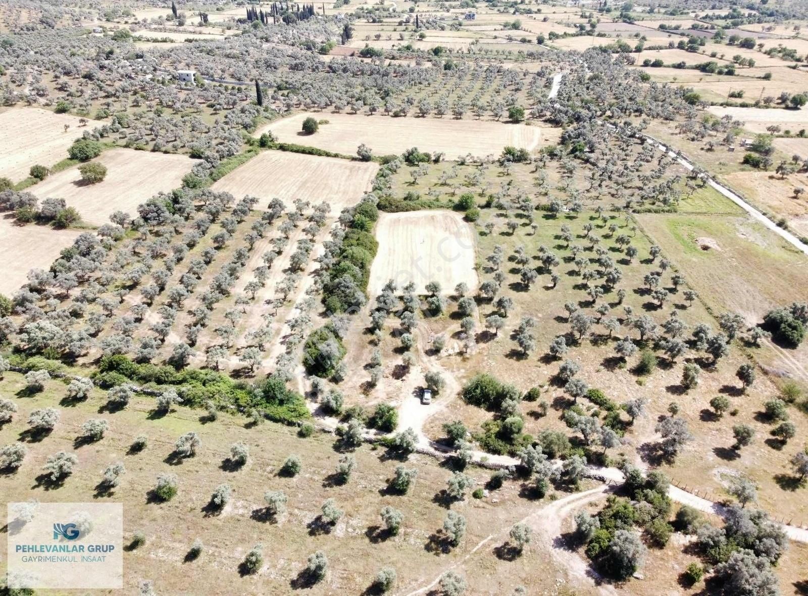 Milas Kazıklı Da Denize Yakın Asfalt Yola Sıfır Satılık Arazi - Görsel 12
