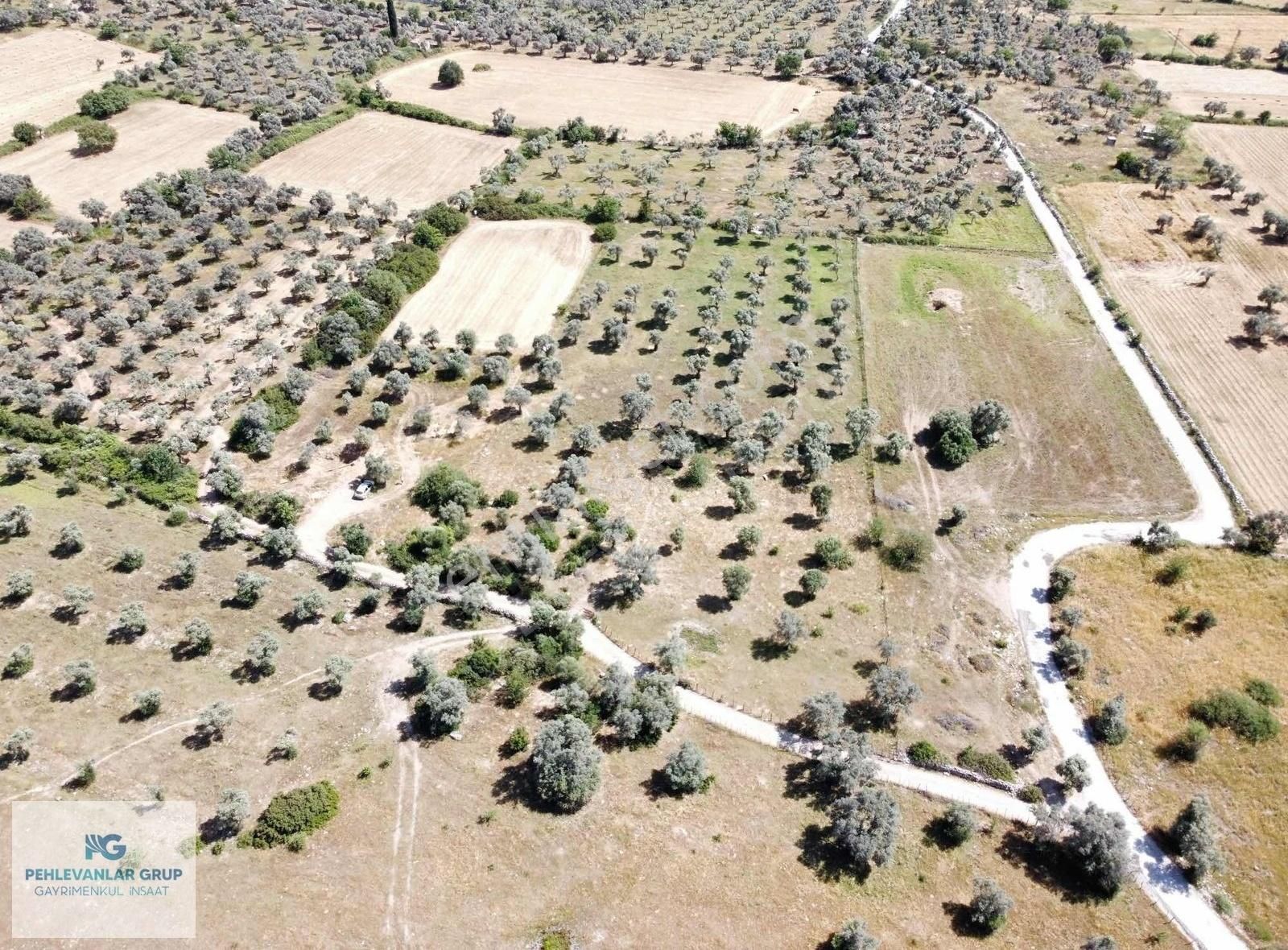 Milas Kazıklı Da Denize Yakın Asfalt Yola Sıfır Satılık Arazi - Görsel 13