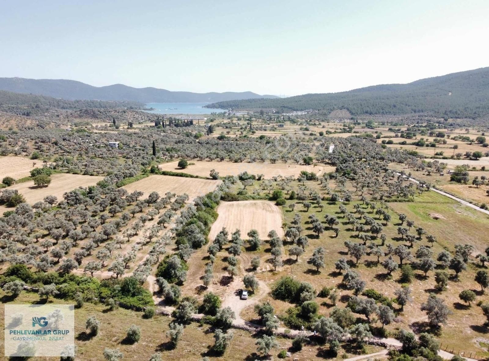 Milas Kazıklı Da Denize Yakın Asfalt Yola Sıfır Satılık Arazi - Görsel 18