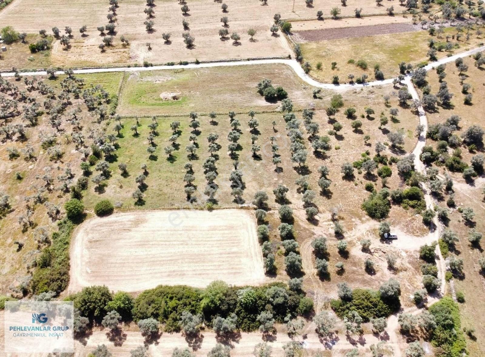 Milas Kazıklı Da Denize Yakın Asfalt Yola Sıfır Satılık Arazi - Görsel 7