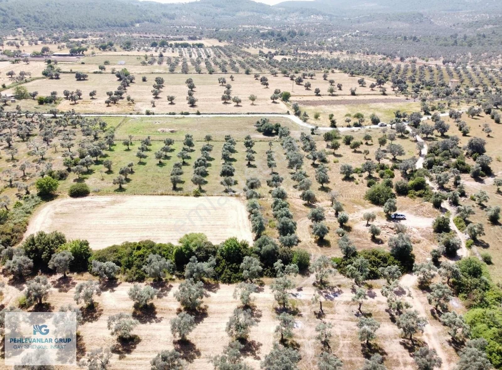 Milas Kazıklı Da Denize Yakın Asfalt Yola Sıfır Satılık Arazi - Görsel 14