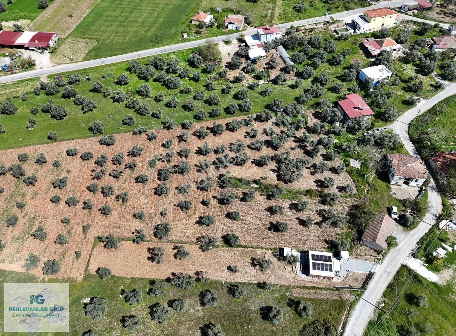 Milas Gökçeler Mah Satılık Müstakil Ev Ve Bahçesi-pehlevanlardan - Görsel 17