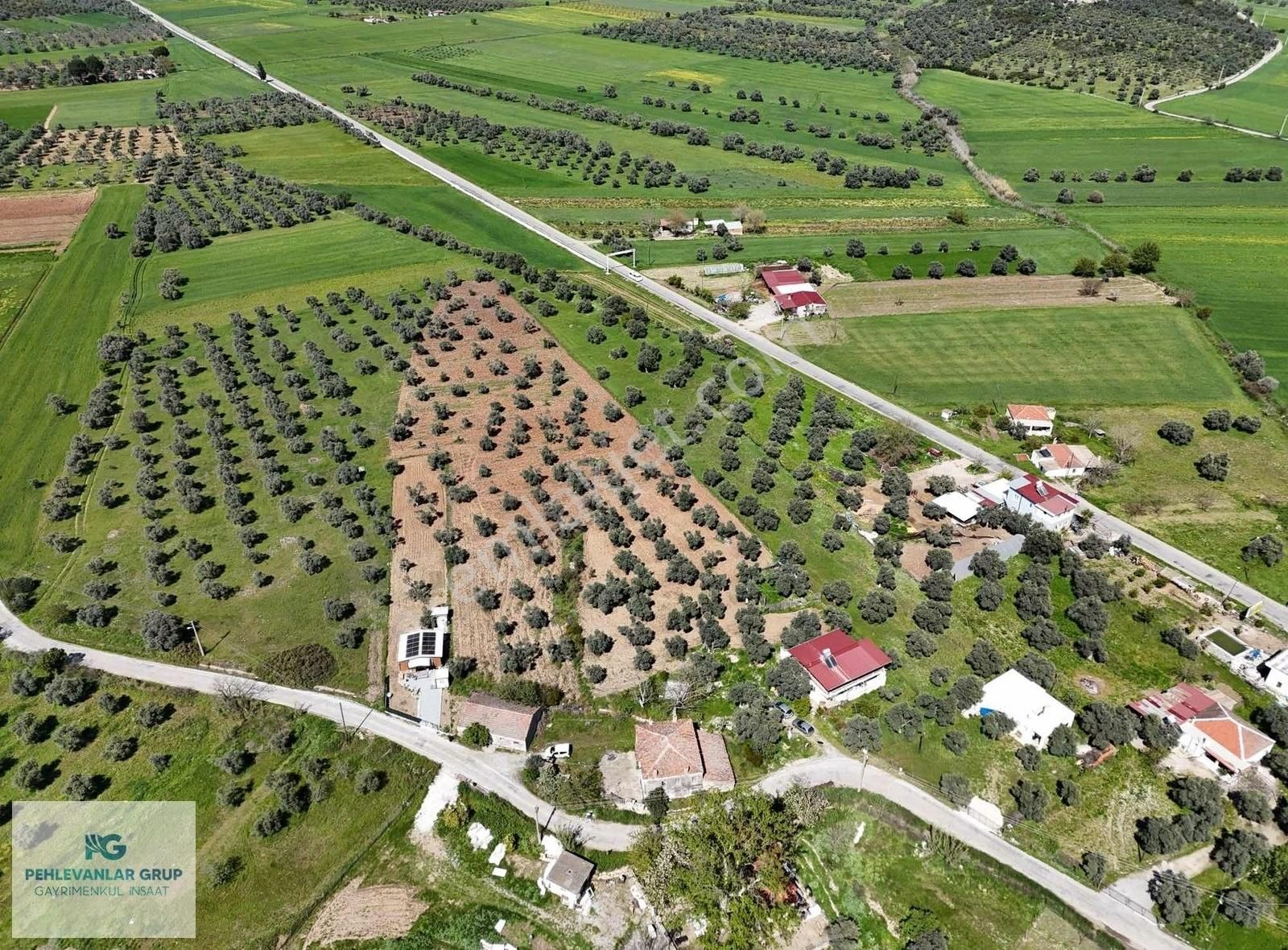 Milas Gökçeler Mah Satılık Müstakil Ev Ve Bahçesi-pehlevanlardan - Görsel 12