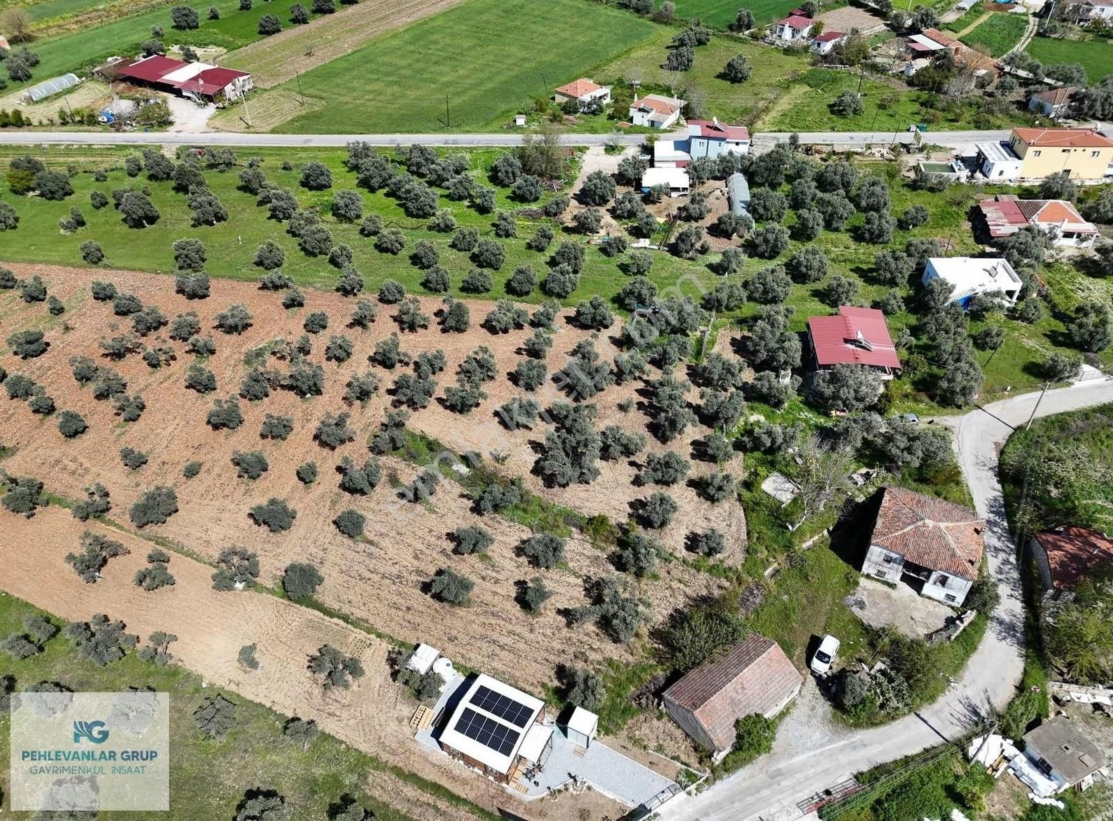 Milas Gökçeler Mah Satılık Müstakil Ev Ve Bahçesi-pehlevanlardan - Görsel 33