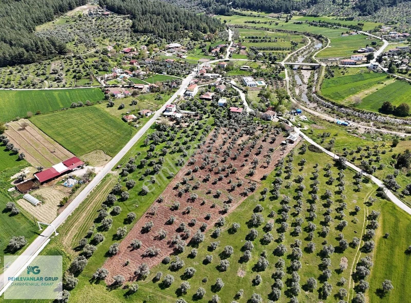 Milas Gökçeler Mah Satılık Müstakil Ev Ve Bahçesi-pehlevanlardan - Görsel 11