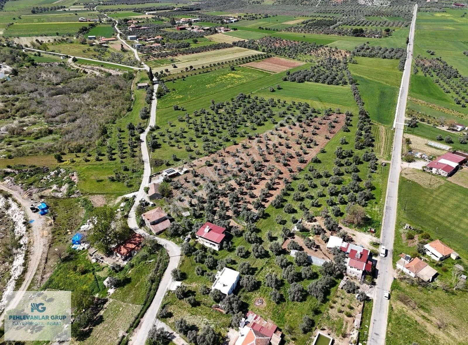 Milas Gökçeler Mah Satılık Müstakil Ev Ve Bahçesi-pehlevanlardan - Görsel 2
