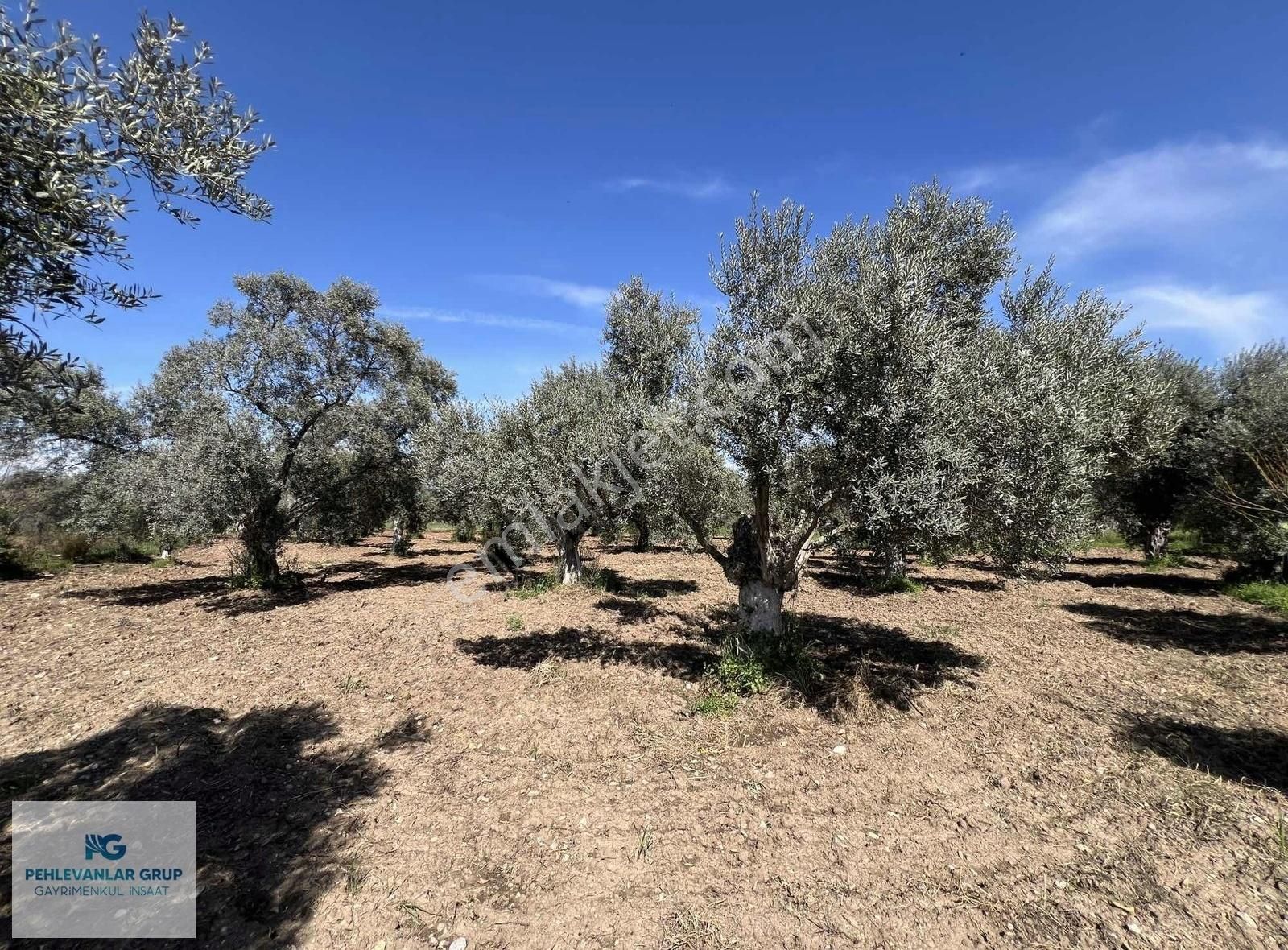 Milas Gökçeler Mah Satılık Müstakil Ev Ve Bahçesi-pehlevanlardan - Görsel 4