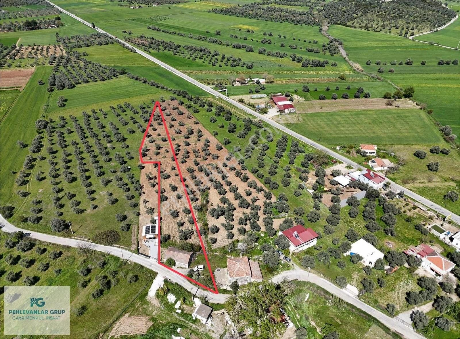 Milas Gökçeler Mah Satılık Müstakil Ev Ve Bahçesi-pehlevanlardan - Görsel 5