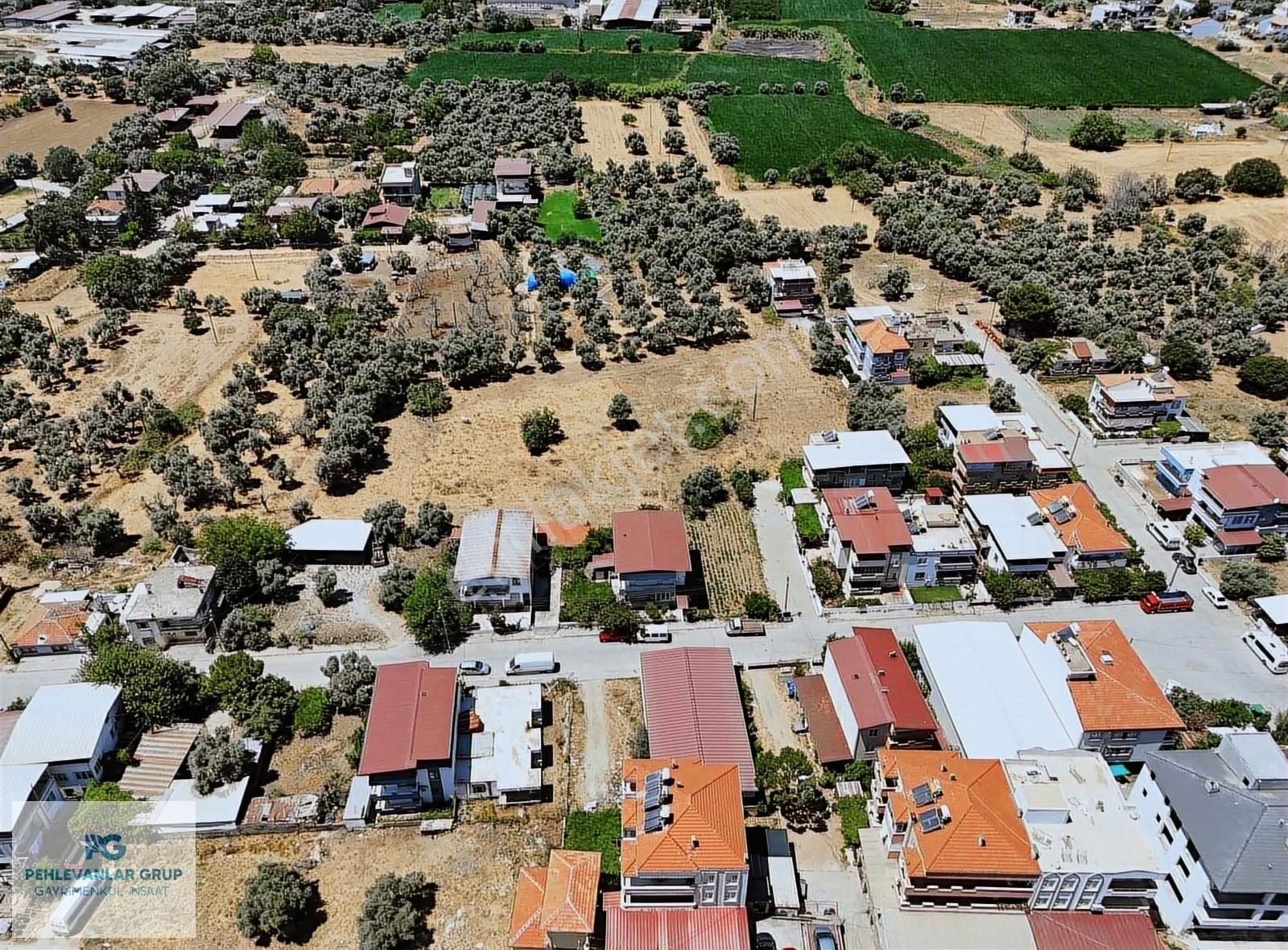 Milas Selimiye De Müstakil Tek Katlı Fırsat Ev Pehlevanlar Dan - Görsel 24