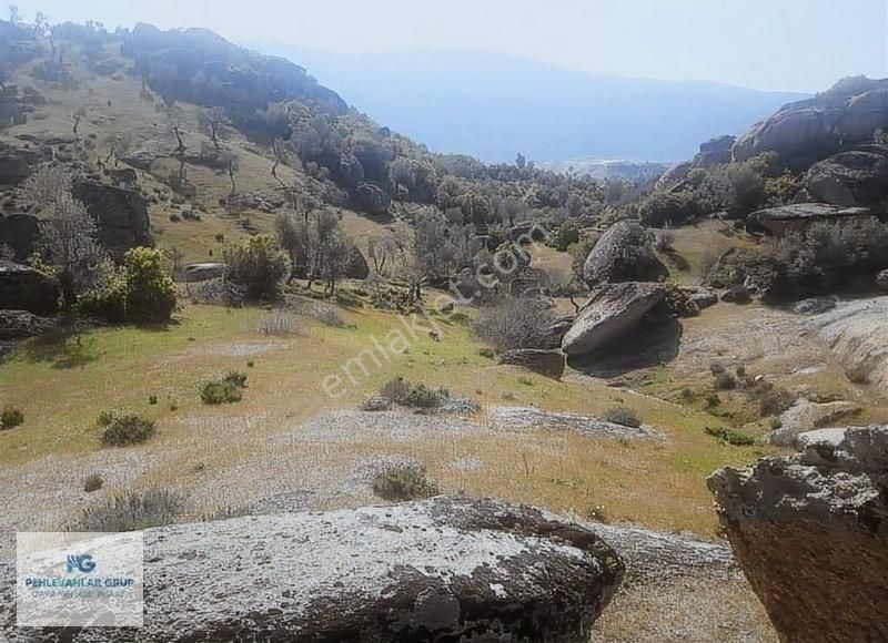 Milas Sınırı Karpuzlu'da Fırsat Fiyata Satılık Büyük Zeytinlik - Görsel 3