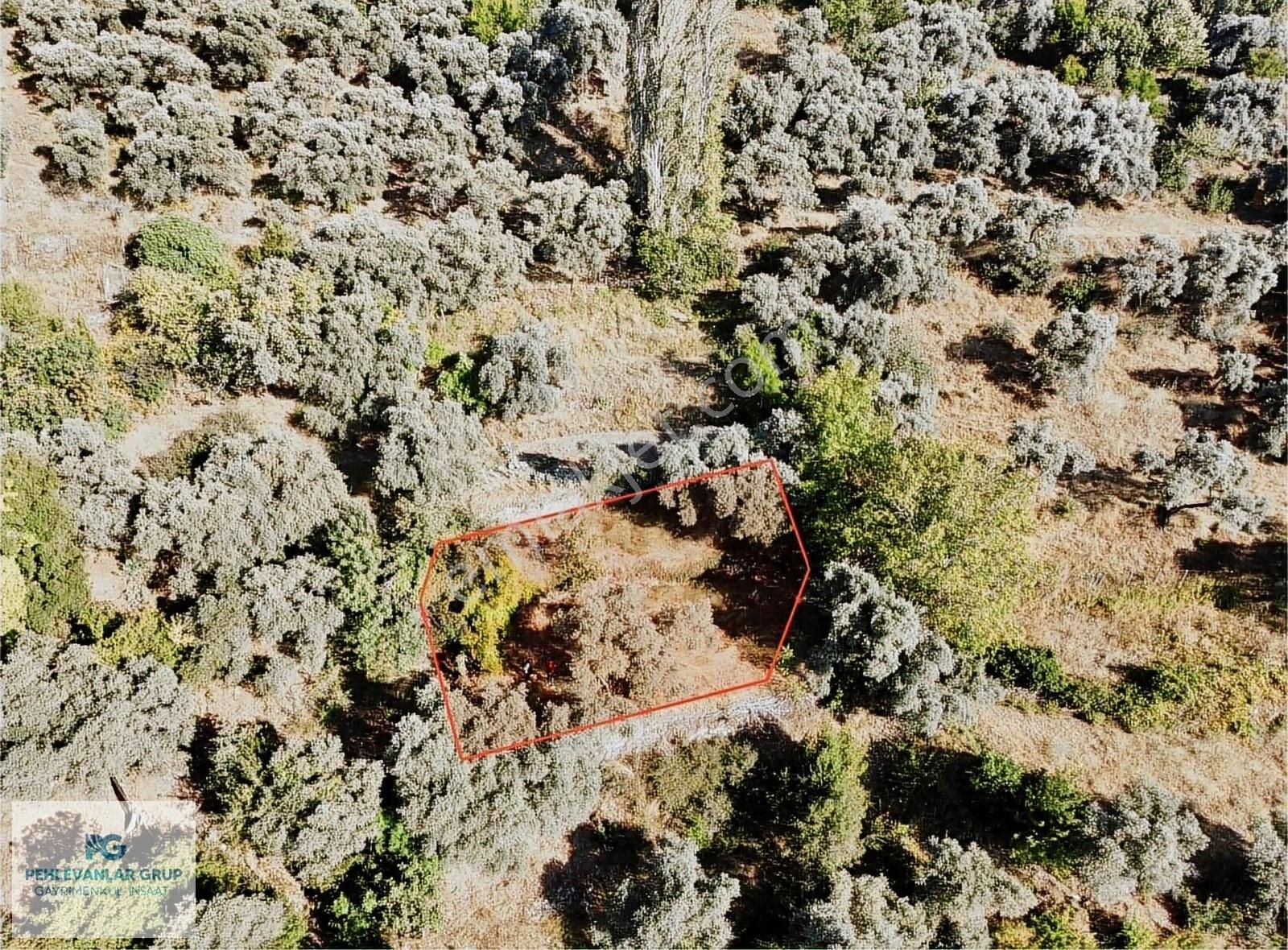 Pehlevanlar'dan Kayabaşı 340m2 Satılık Fırsat Bahçe-araç Takas