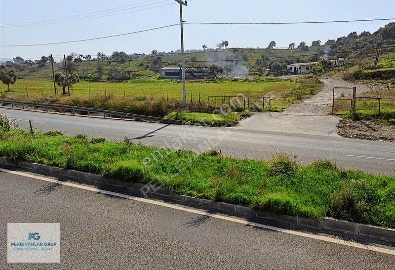 Bodrum-güllük Yolu Üzerinde 45.652m2 Tic İmar Planında Satılık - Görsel 5