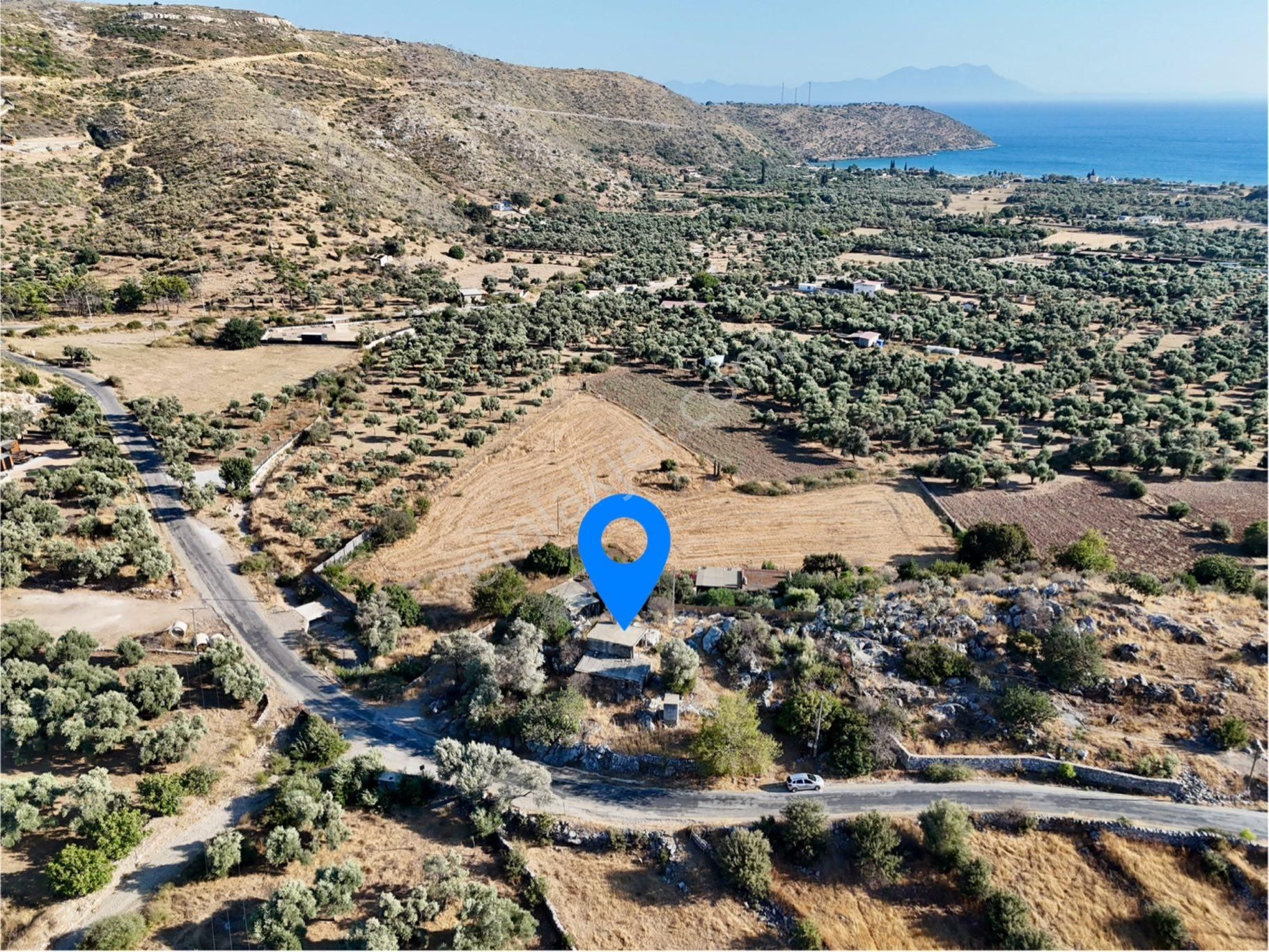 Milas Çökertmede Deniz Manzaralı Tapulu 800m2 Müstakil Ev - Görsel 15