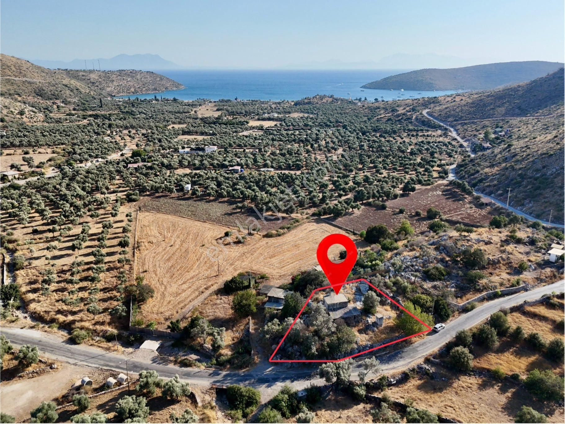 Milas Çökertmede Deniz Manzaralı Tapulu 800m2 Müstakil Ev - Görsel 4