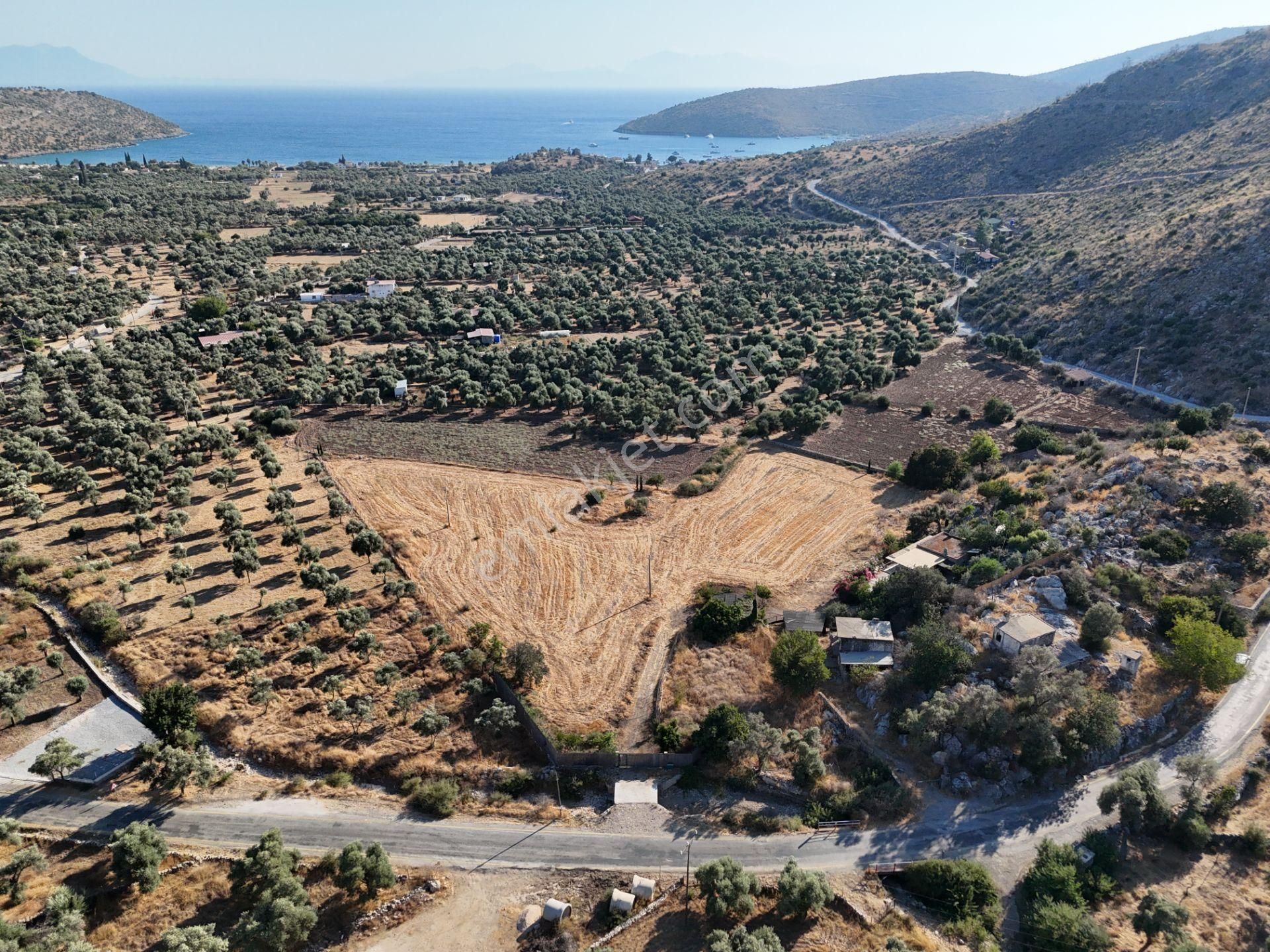 Milas Çökertmede Deniz Manzaralı Tapulu 800m2 Müstakil Ev - Görsel 17