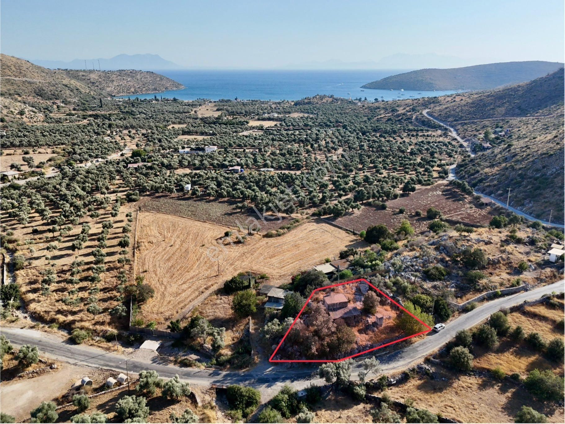 Milas Çökertmede Deniz Manzaralı Tapulu 800m2 Müstakil Ev - Görsel 2