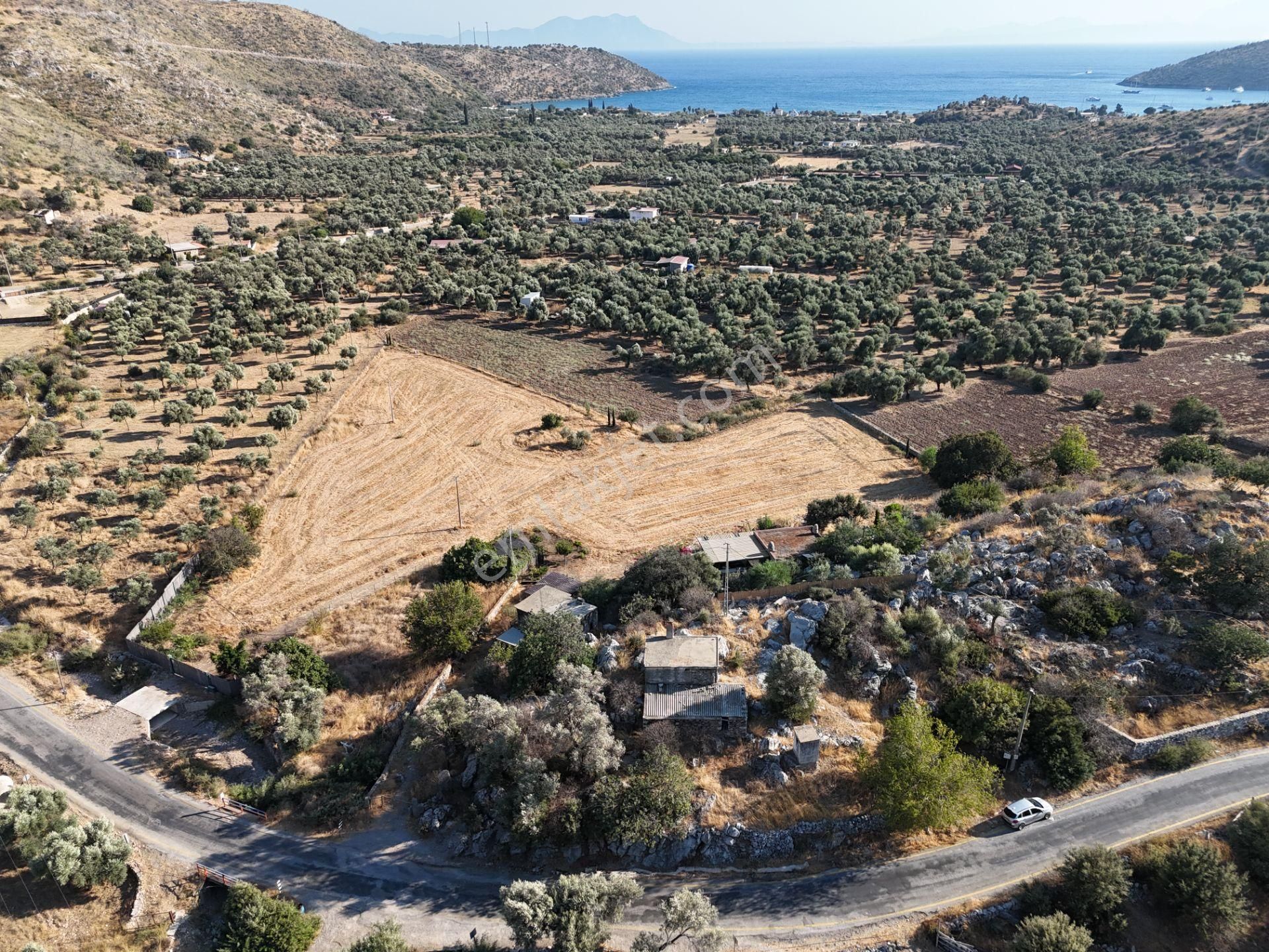 Milas Çökertmede Deniz Manzaralı Tapulu 800m2 Müstakil Ev - Görsel 24