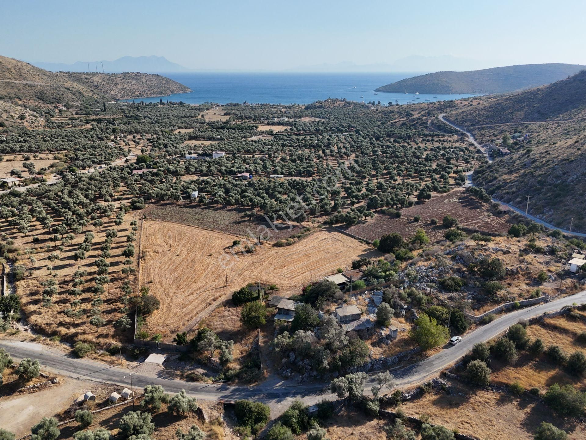 Milas Çökertmede Deniz Manzaralı Tapulu 800m2 Müstakil Ev - Görsel 13