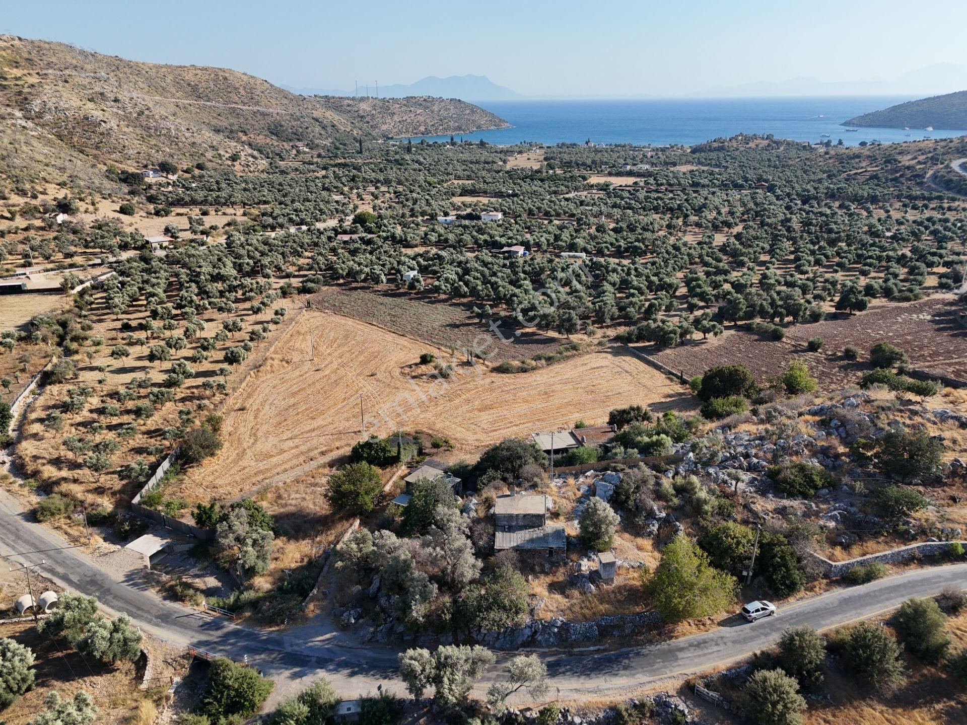 Milas Çökertmede Deniz Manzaralı Tapulu 800m2 Müstakil Ev - Görsel 25