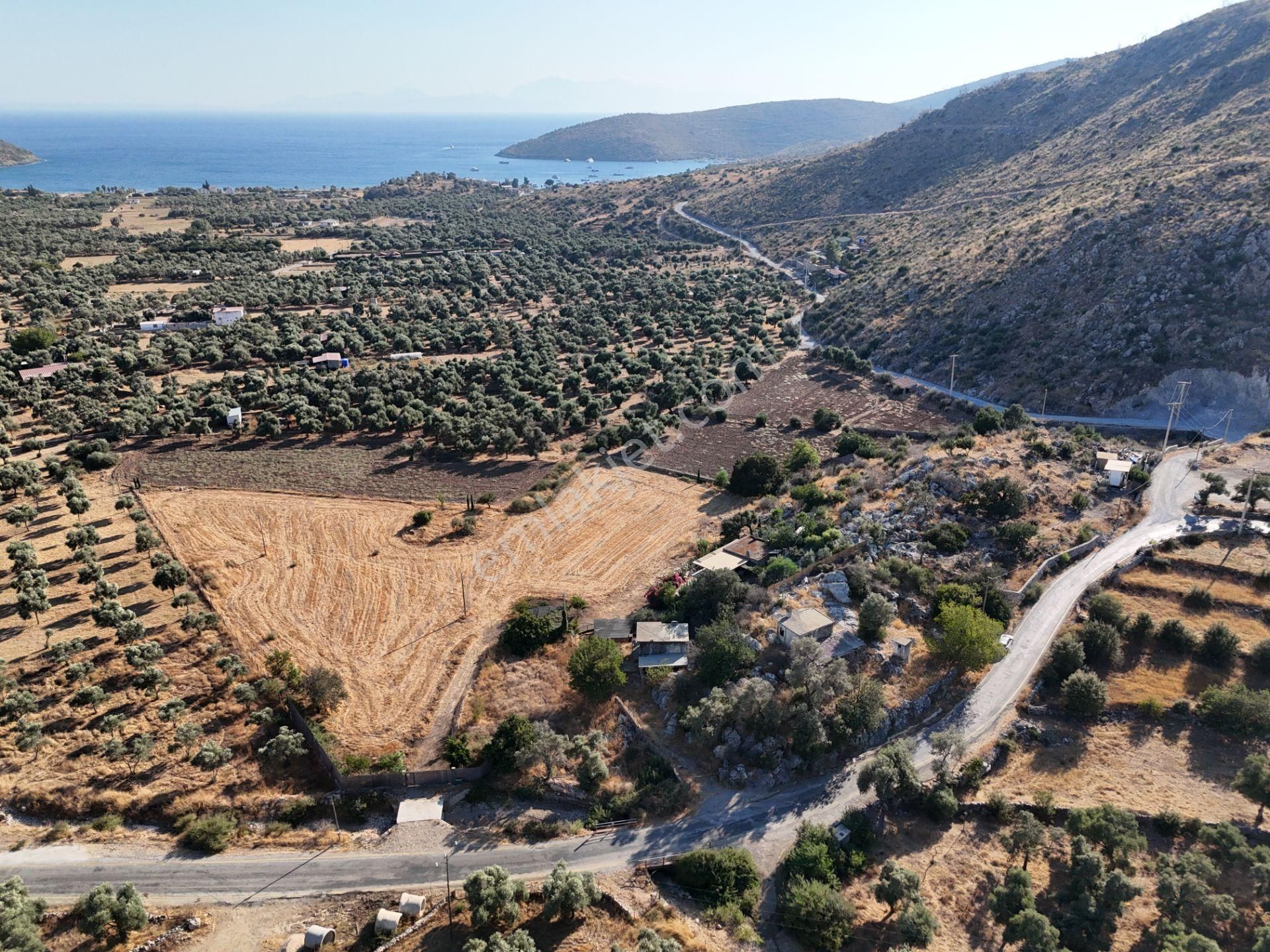 Milas Çökertmede Deniz Manzaralı Tapulu 800m2 Müstakil Ev - Görsel 16