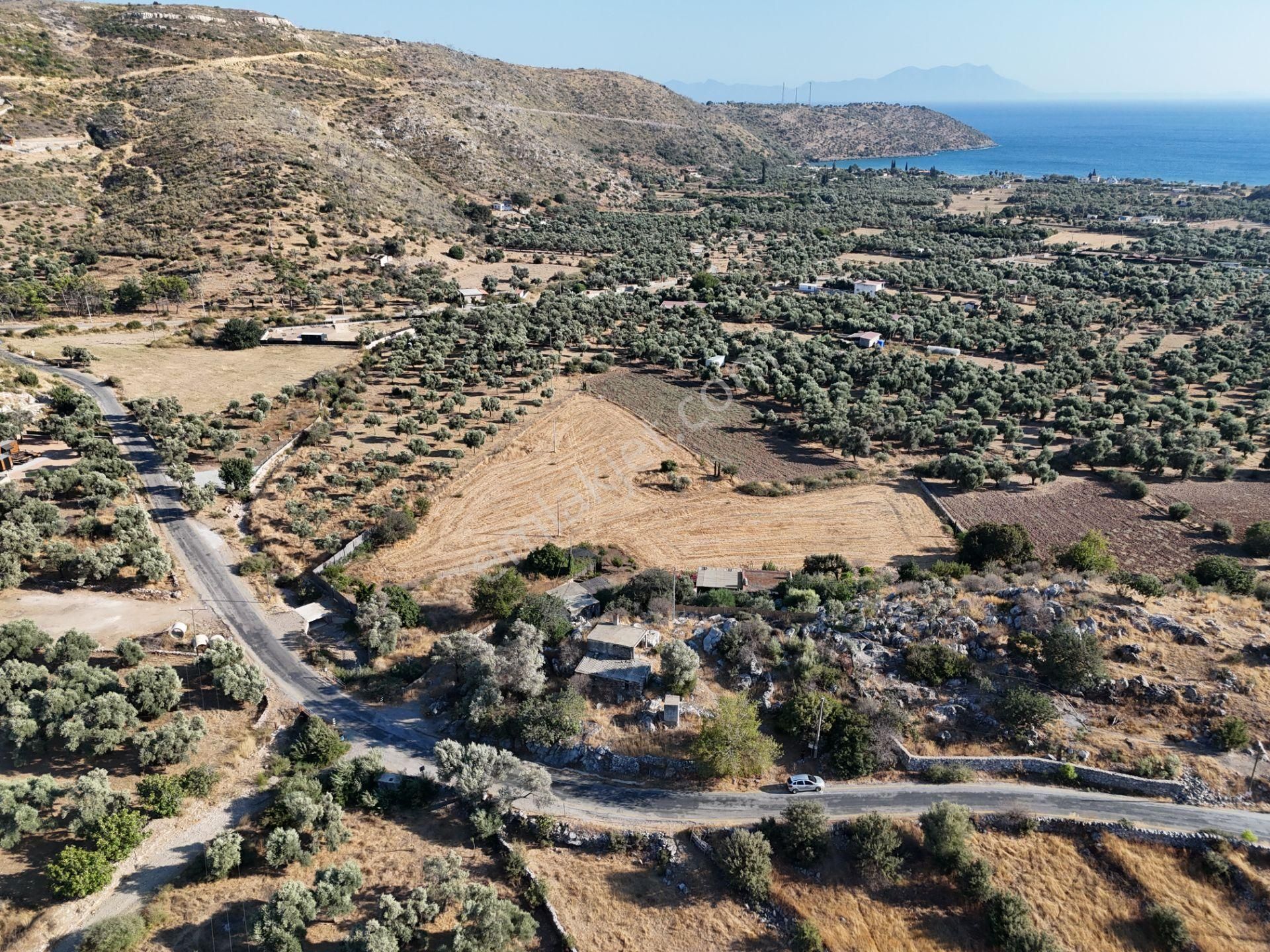 Milas Çökertmede Deniz Manzaralı Tapulu 800m2 Müstakil Ev - Görsel 12