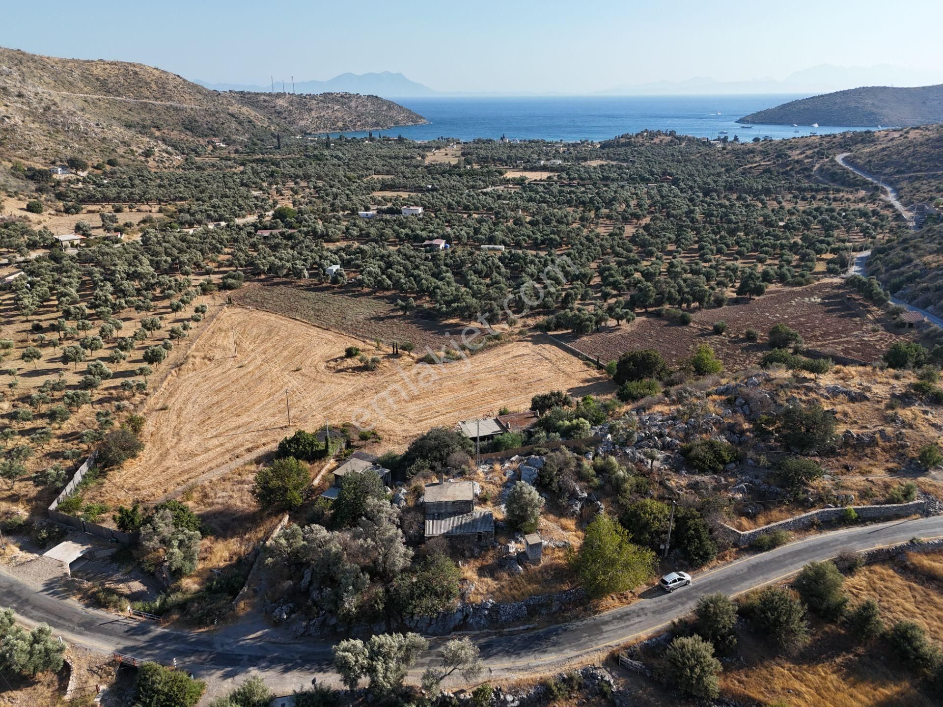 Milas Çökertmede Deniz Manzaralı Tapulu 800m2 Müstakil Ev - Görsel 26