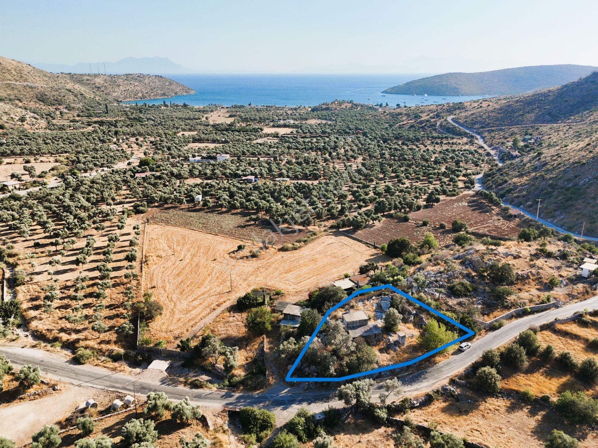 Milas Çökertmede Deniz Manzaralı Tapulu 800m2 Müstakil Ev