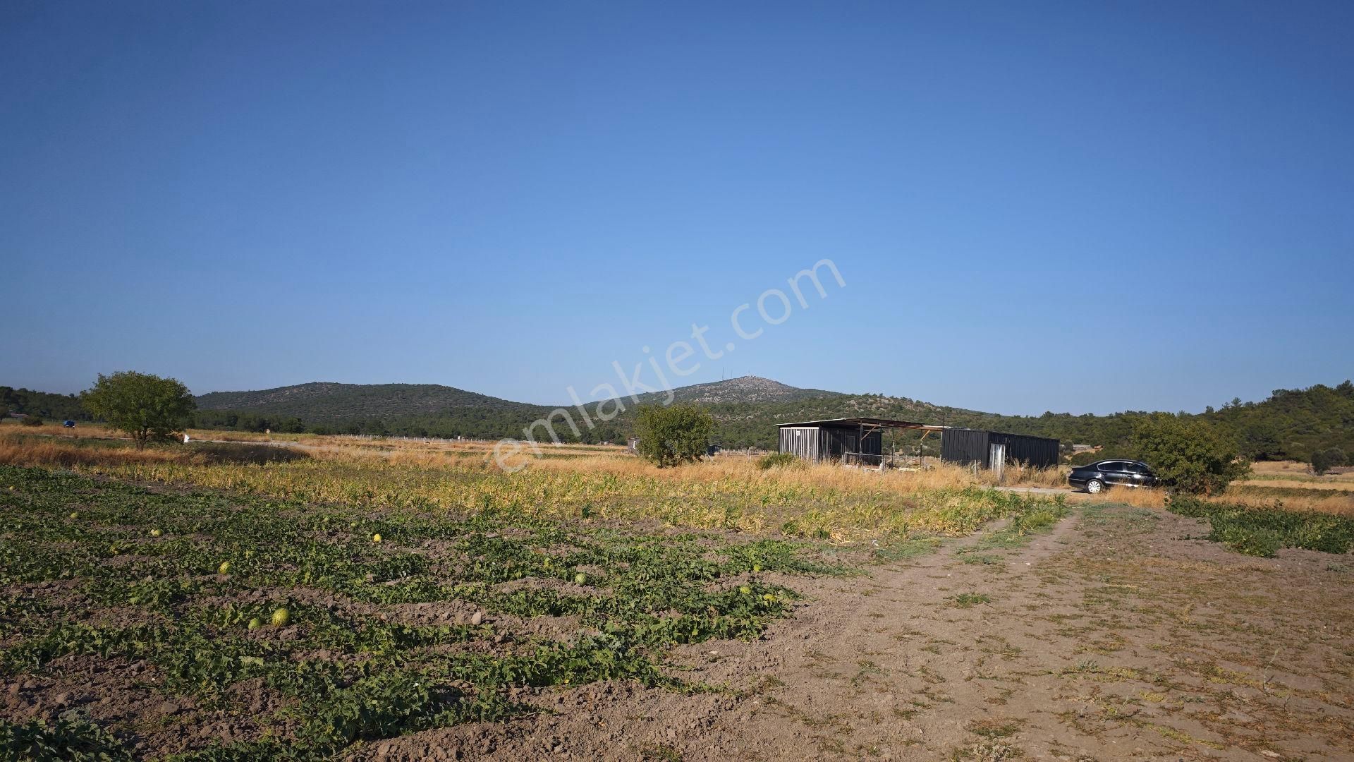 Urla Kadıovacık Mh Satılık Tek Tapu Tarla - Görsel 9