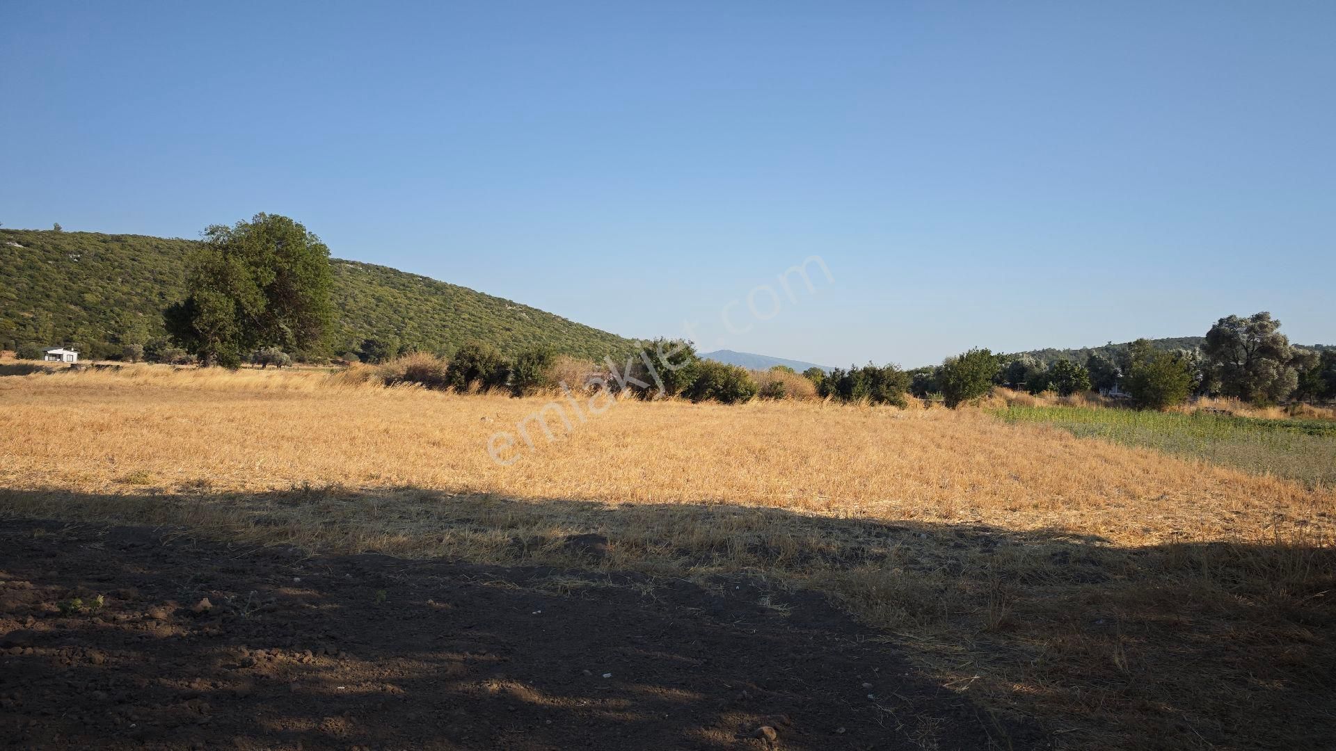 Urla Kadıovacık Mh Satılık Tek Tapu Tarla - Görsel 28