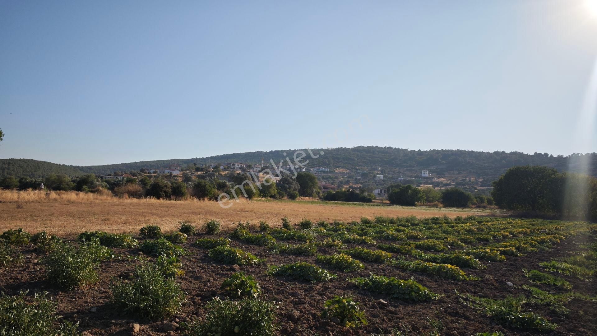Urla Kadıovacık Mh Satılık Tek Tapu Tarla - Görsel 14