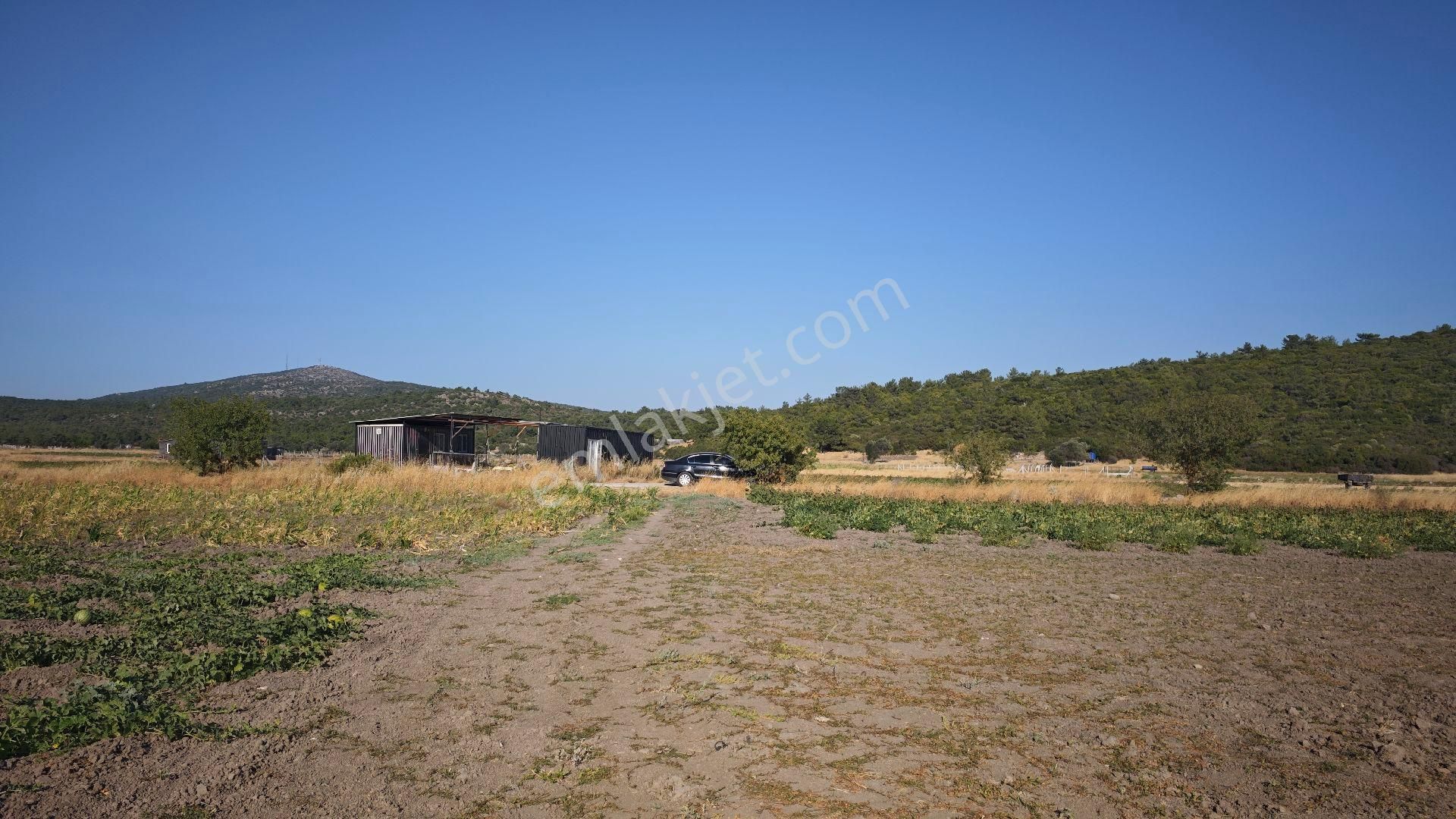 Urla Kadıovacık Mh Satılık Tek Tapu Tarla - Görsel 8