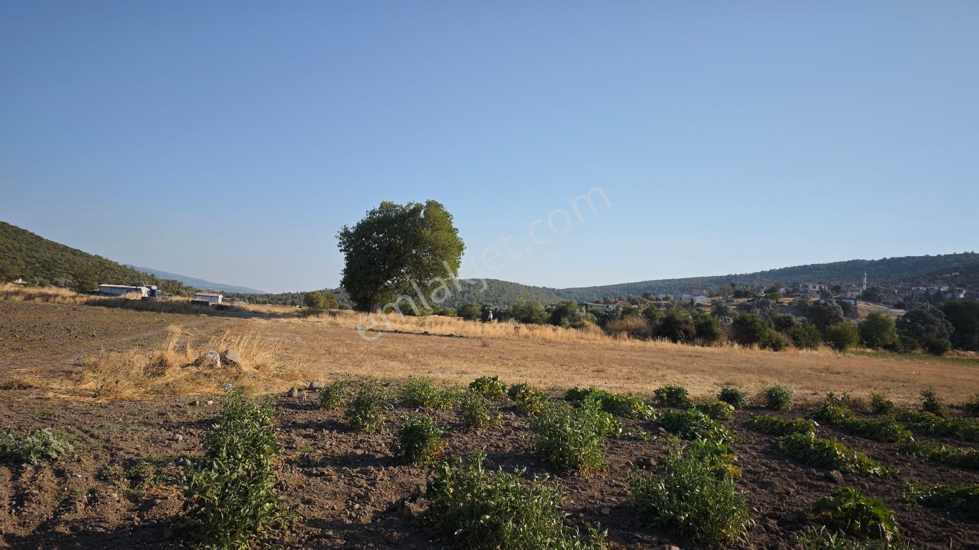 Urla Kadıovacık Mh Satılık Tek Tapu Tarla - Görsel 15