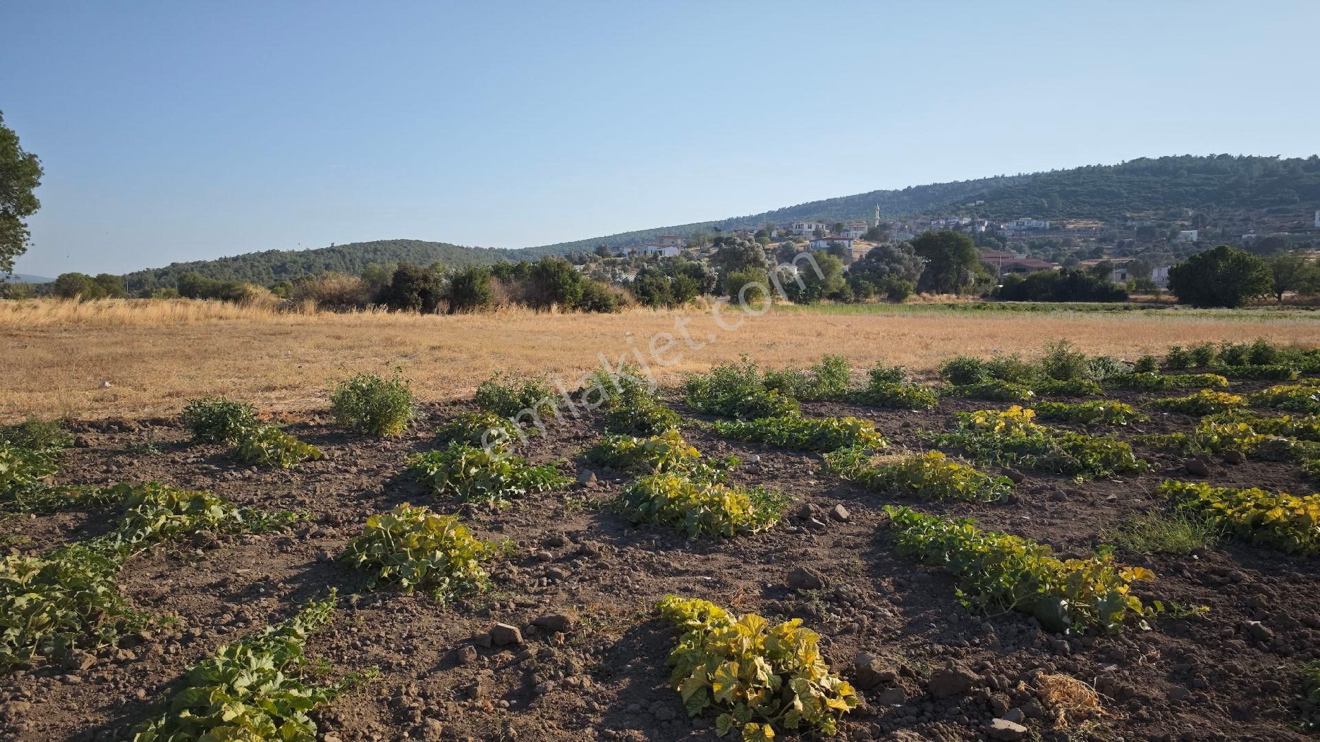 Urla Kadıovacık Mh Satılık Tek Tapu Tarla - Görsel 21