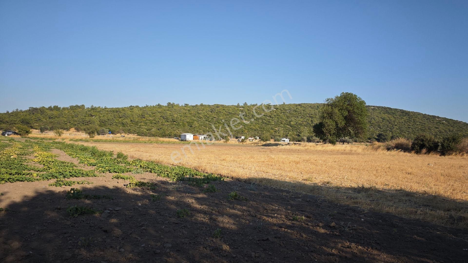 Urla Kadıovacık Mh Satılık Tek Tapu Tarla - Görsel 27
