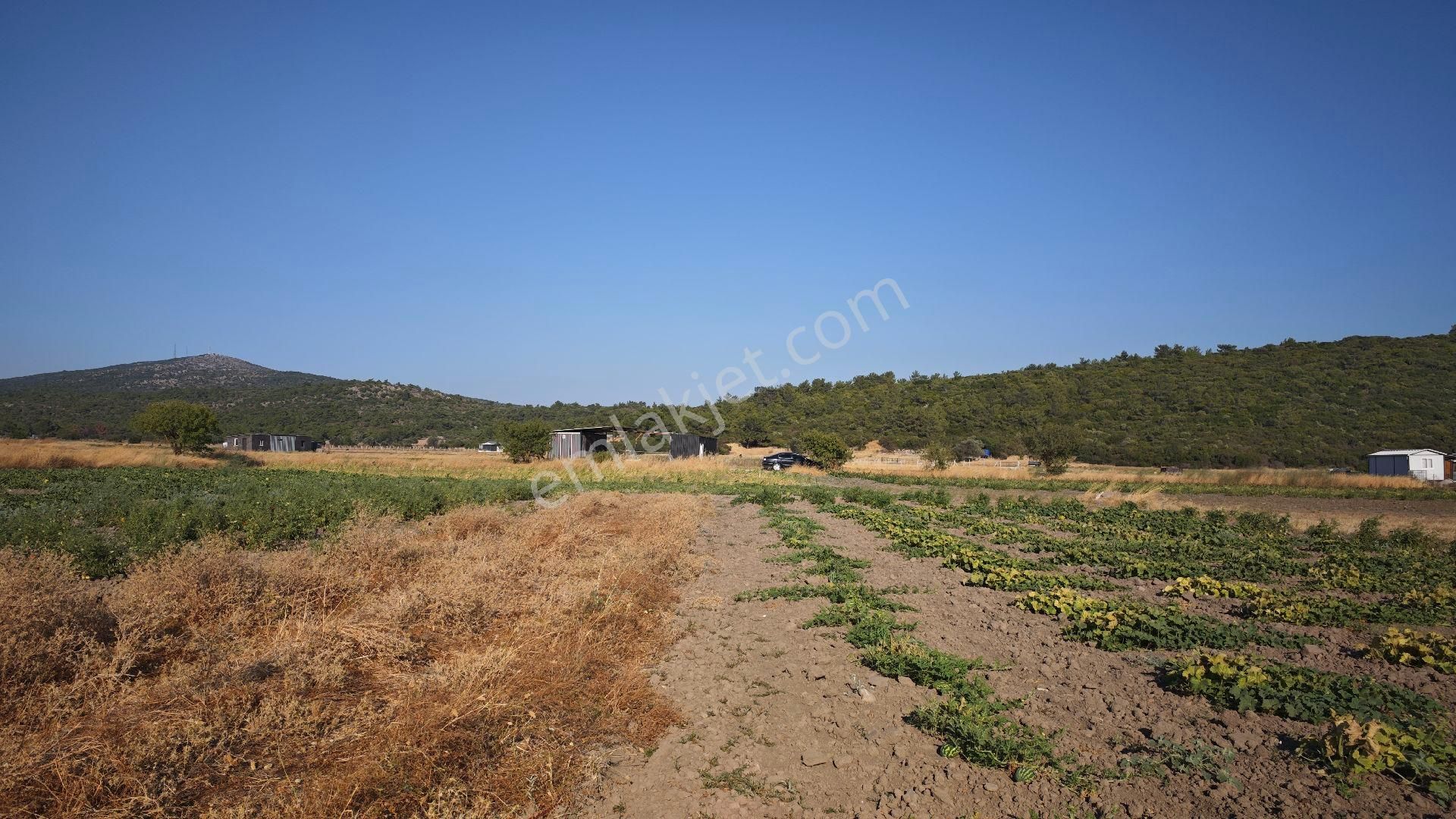 Urla Kadıovacık Mh Satılık Tek Tapu Tarla - Görsel 23