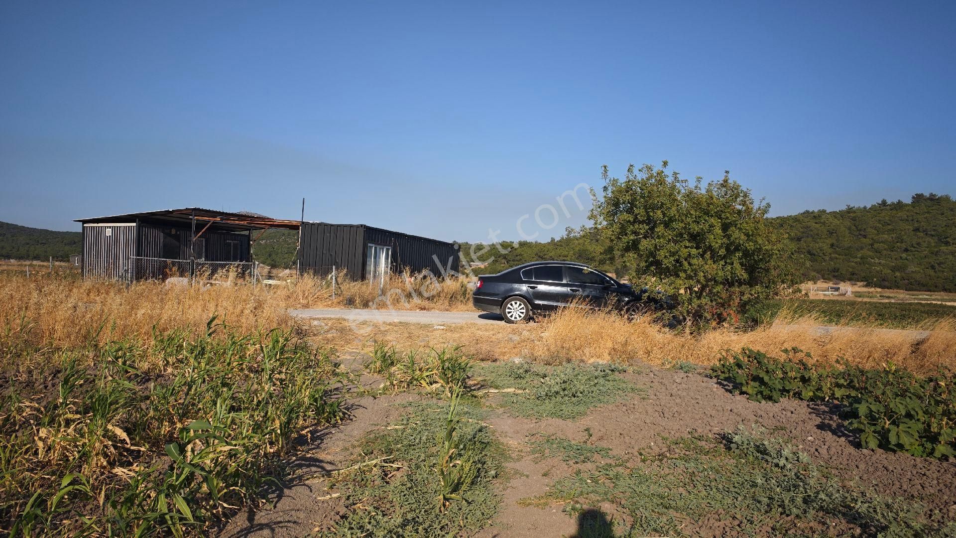 Urla Kadıovacık Mh Satılık Tek Tapu Tarla