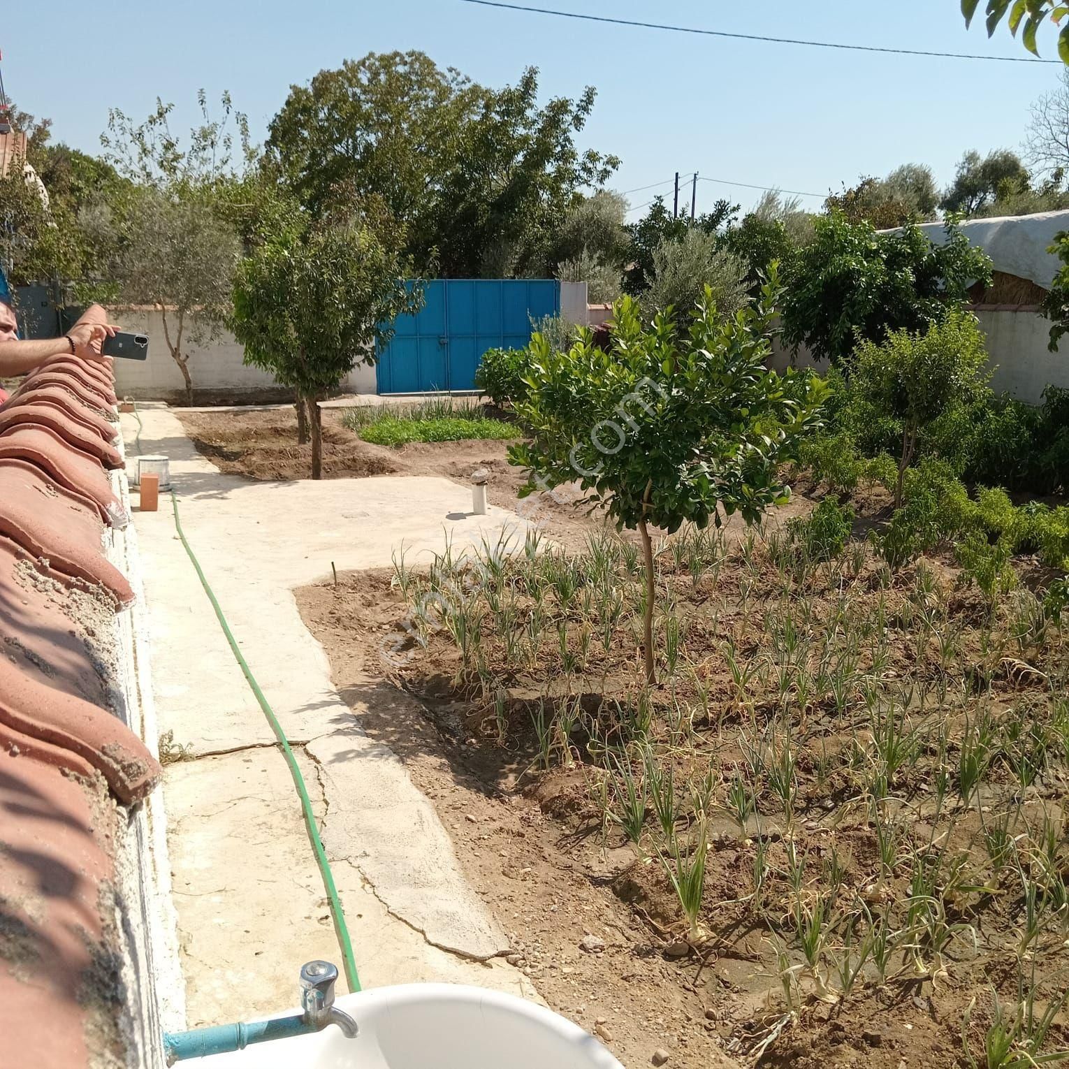 Aydın Umurluda 3 Kat İmarlı Etrafı Duvarla Cevrili İçinde Suyu Olan Bahçemiz Satılıktır.