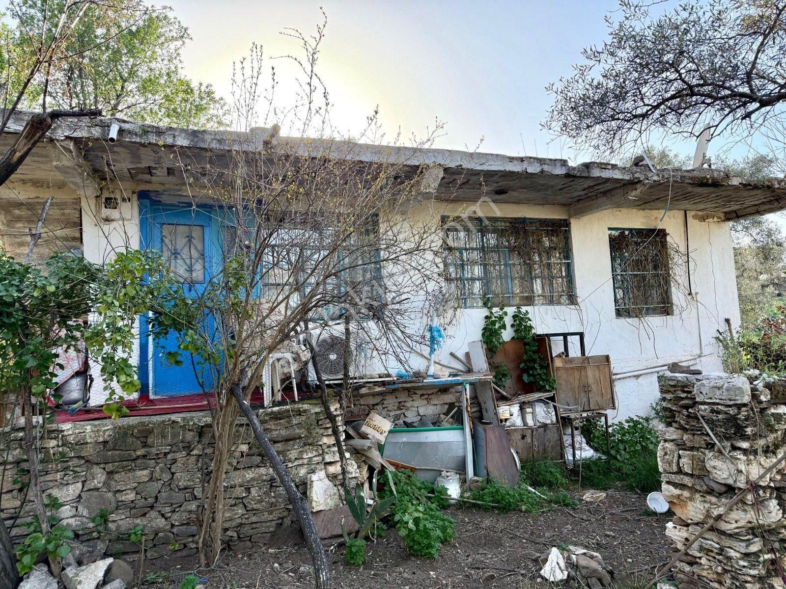 Bodruma Yakın İmarlı Arsa Ve Köy Evi Fırsat Yatırım Yeri Acil Ev - Görsel 2