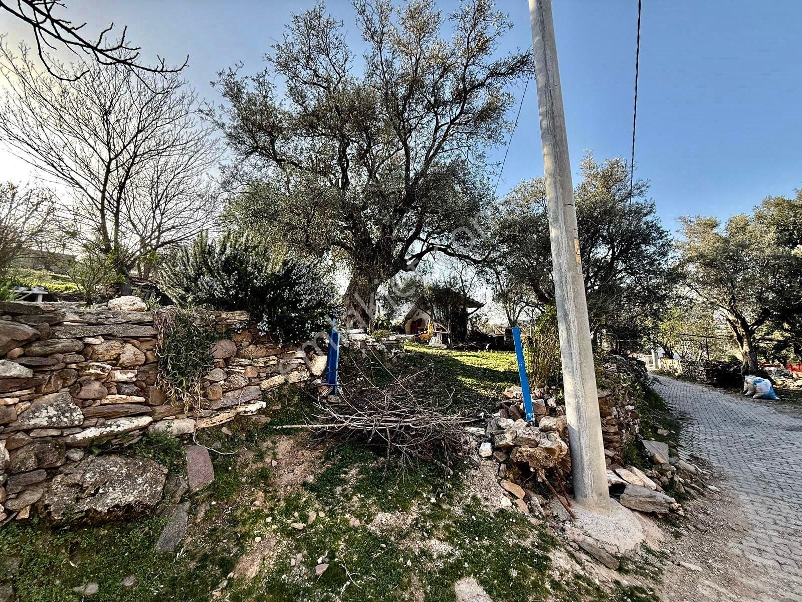 Bodruma Yakın İmarlı Arsa Ve Köy Evi Fırsat Yatırım Yeri Acil Ev - Görsel 4