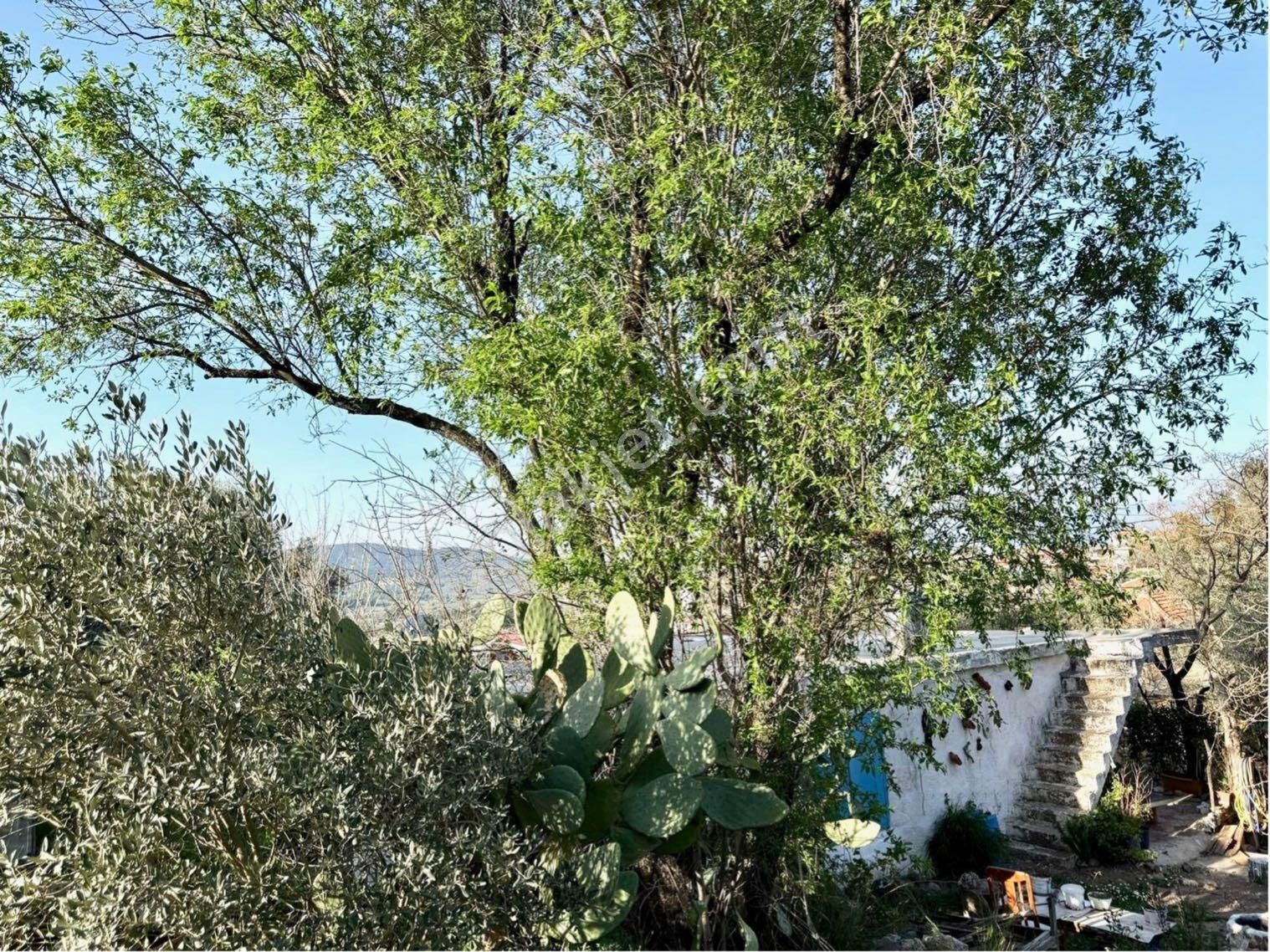 Bodruma Yakın İmarlı Arsa Ve Köy Evi Fırsat Yatırım Yeri Acil Ev - Görsel 6