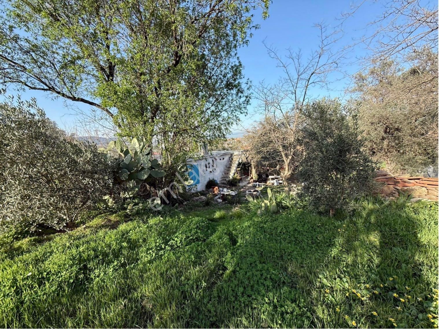 Bodruma Yakın İmarlı Arsa Ve Köy Evi Fırsat Yatırım Yeri Acil Ev - Görsel 8