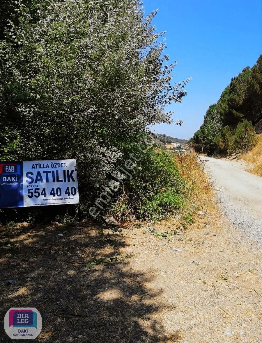 Satılık Bahçe Niteliğinde Arazi Bursa / Mudanya / Aydınpınar