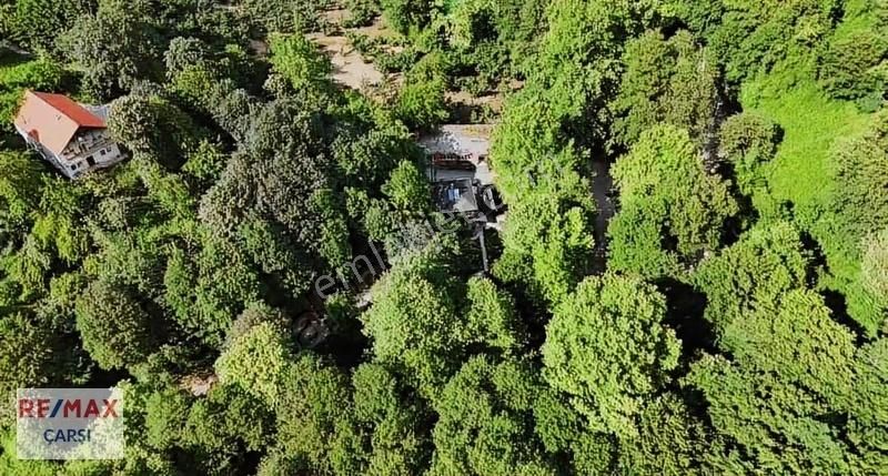 Akyazı-şerefiye'de Doğa İçinde Restoran! Detaylar Açıklamada - Görsel 3