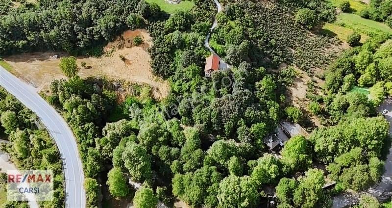 Akyazı-şerefiye'de Doğa İçinde Restoran! Detaylar Açıklamada - Görsel 6