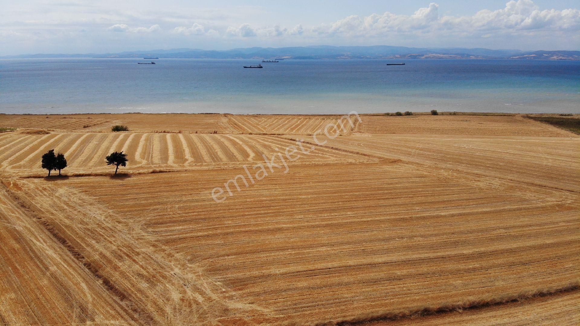 Seçil Bora'dan Satılık Deniz Manzaralı Tarla