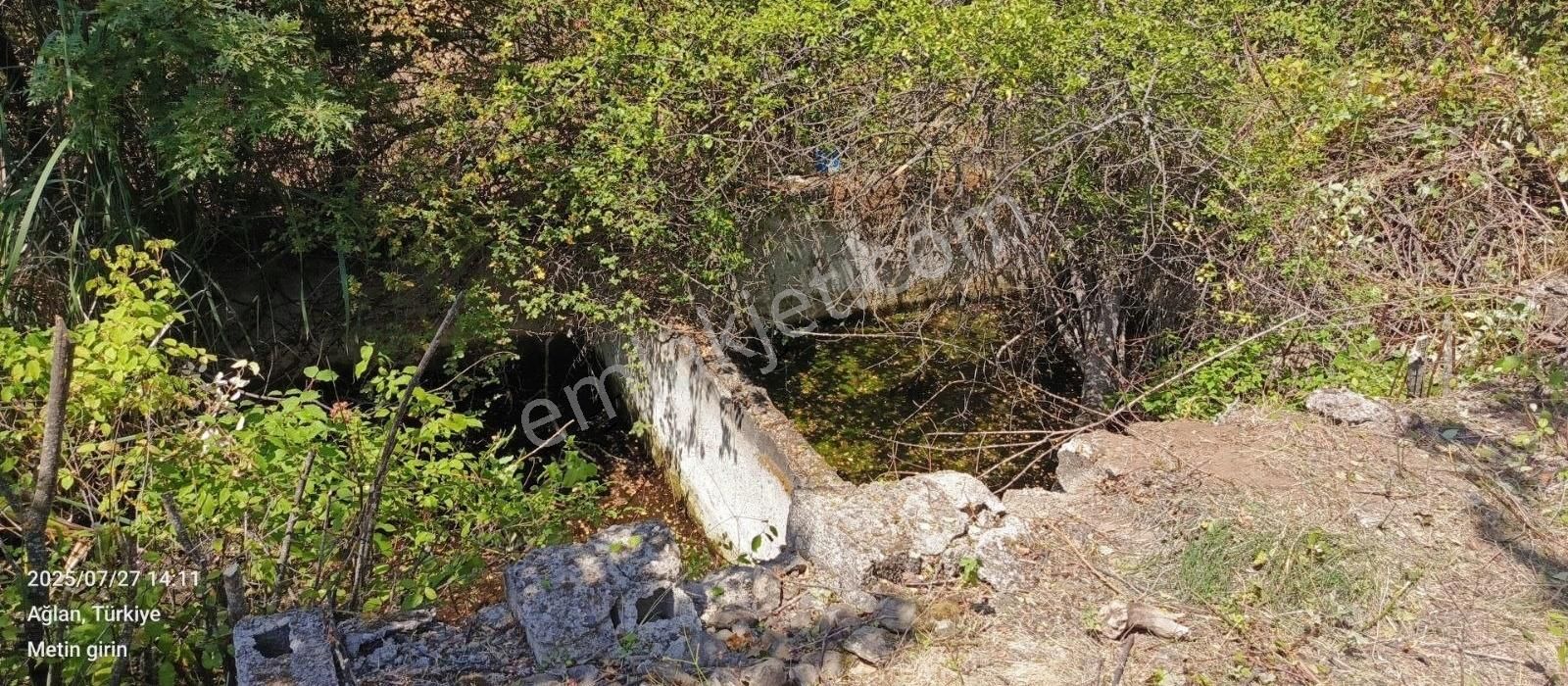 Satılık 9 Dönüm Bilecikte Bahçe